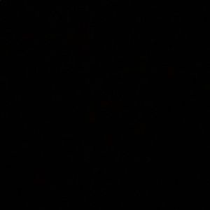 Meet your Posher, Ashton